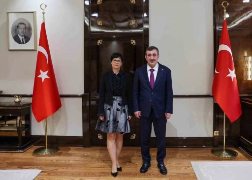 Cumhurbaşkanı Yardımcısı Yılmaz, Avrupa Komisyonu Genişlemeden Sorumlu Komiseri Kos ile g&ouml;r&uuml;şt&uuml;
