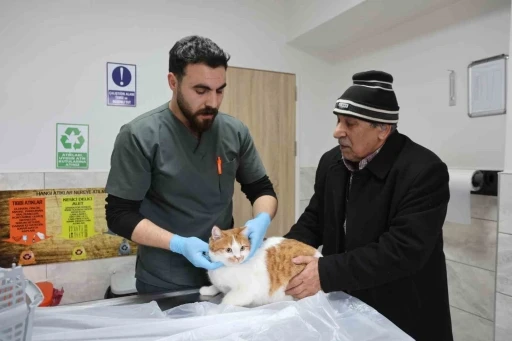 Cumhuriyet tarihinin ilk fak&uuml;ltesine ait hastanede, bir yılda 9 bin 600 hayvan şifa buldu
