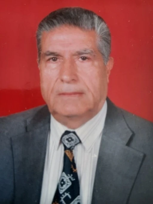 Cumhuriyetle yaşlı çınar hayatını kaybetti
