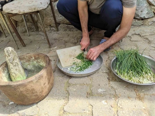 Dağdan toplanıyor, kilosu 10 bin TL’ye satılıyor
