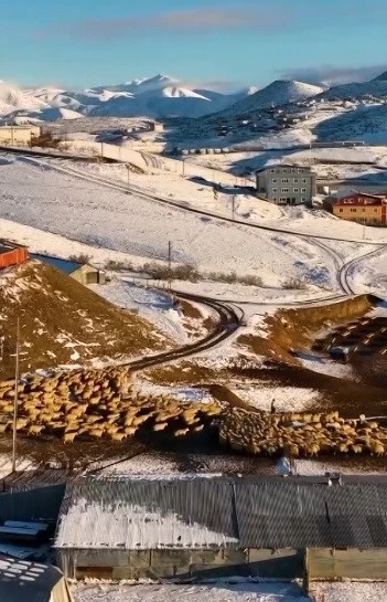 Dağın huzuru, emeğin sesi: İli&ccedil;&rsquo;te k&uuml;&ccedil;&uuml;kbaş hayvancılık
