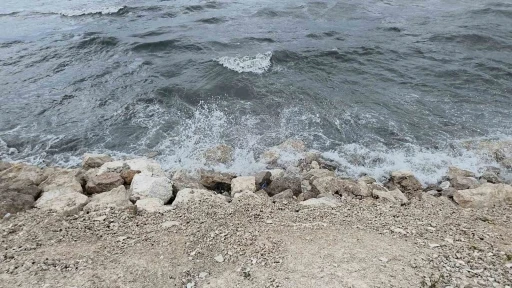 Dalgalar Van G&ouml;l&uuml; sahilini d&ouml;vd&uuml;
