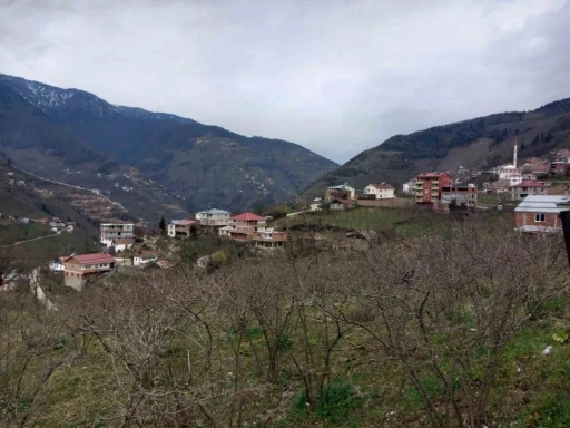 Danıştay kararını verdi; 35 yıl sonra Giresun’a bağlandılar
