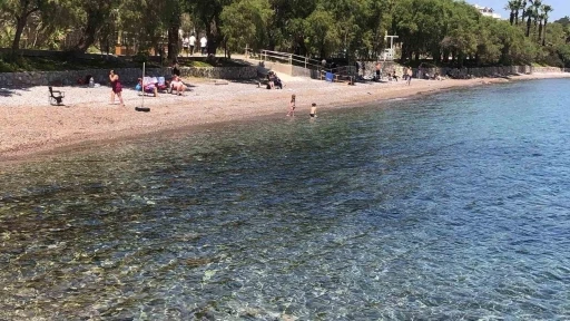 Datça Sahilleri Canlandı
