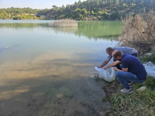 Dazkırı’daki Çiftlik köyü baraj göletinde balıklandırma yapıldı
