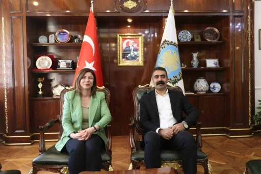DBB&rsquo;nin d&uuml;zenleyeceği barış paneline CHP&rsquo;li &Ouml;zg&uuml;r &Ouml;zel, MHP&rsquo;li Feti Yıldız da davet edildi
