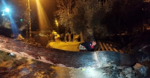 Defne&rsquo;de devrilen ağa&ccedil; yolu kapattı
