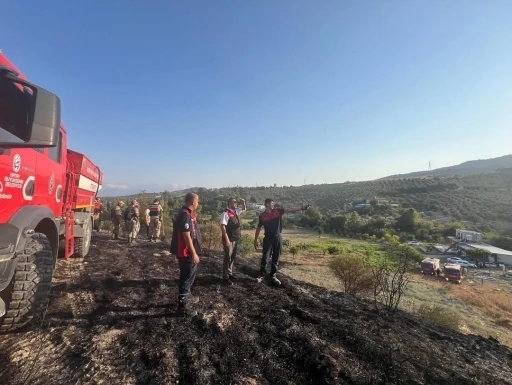 Defne’de makilik alanda yangın çıktı
