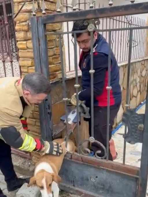 Demir korkuluklara sıkışan k&ouml;peği itfaiye kurtardı
