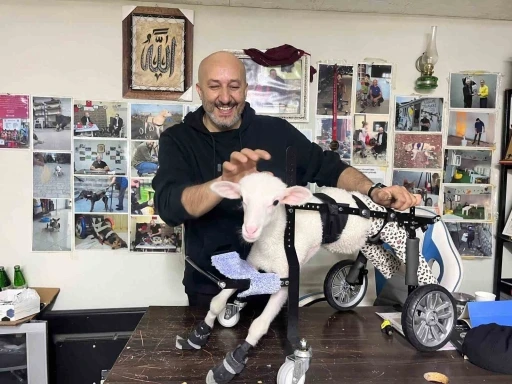 Demir ustası fel&ccedil;li canlara &rsquo;umut&rsquo; oluyor