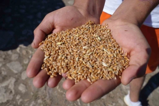 Demir&ouml;z&uuml;&rsquo;nde &ccedil;ift&ccedil;ilere y&uuml;zde 100 hibeli &uuml;retim desteği
