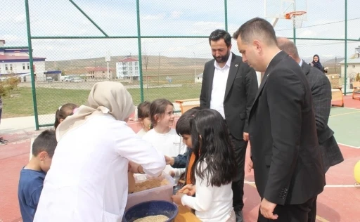 Demirözü’nde çim adamı etkinliği
