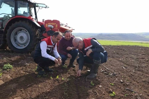 Deneme sahasından elde edilecek veriler bölge tarımına yön verecek
