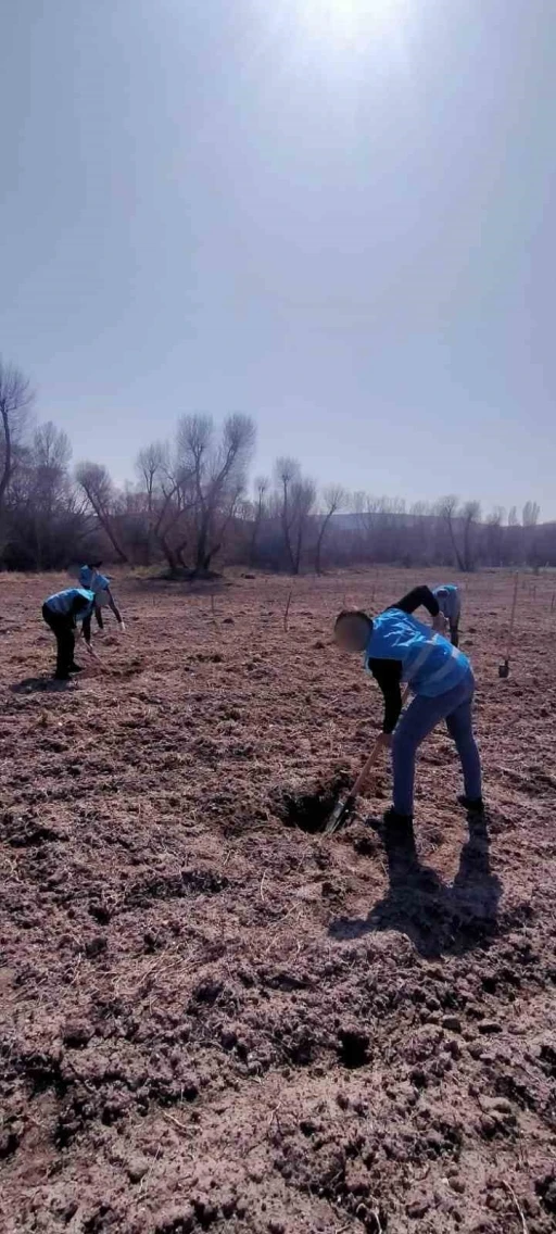 Denetimli serbestlik y&uuml;k&uuml;ml&uuml;leri &rsquo;Adalet Ormanı&rsquo;nda meyve yetiştiriyor
