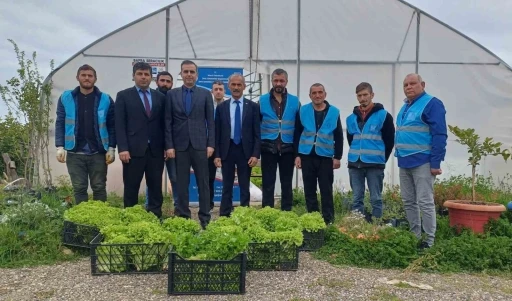 Denetimli serbestlikteki hükümlüler üretimle hayata tutunuyor
