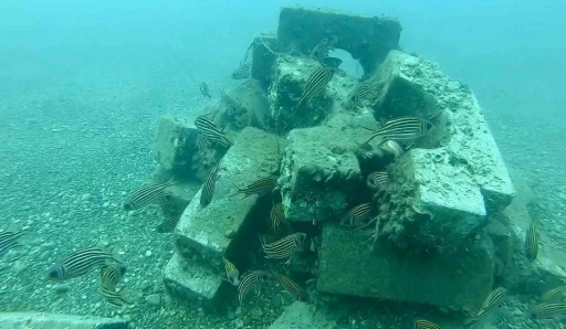 Denize d&uuml;şen beton ağırlıklardan yapay resif oluşturdular
