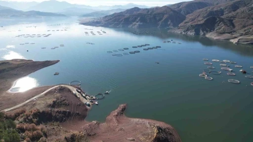 Denizi olmayan Tokat’ın somonları dünya sofralarına ulaşıyor
