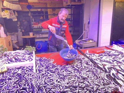 Denizlerde bollaşan hamsi tezgahlarda 100 TL’ye yer buldu