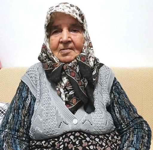 Denizli bir &ccedil;ınarını daha kaybetti
