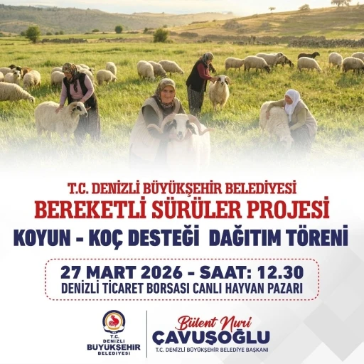 Denizli B&uuml;y&uuml;kşehir 582 &uuml;reticiye 1200 adet koyun ve ko&ccedil; dağıtacak
