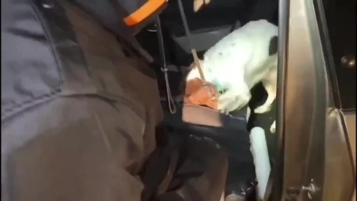 Denizli&rsquo;de arama yapılan ara&ccedil;ta 1,5 kilogram metamfetamin ele ge&ccedil;irildi
