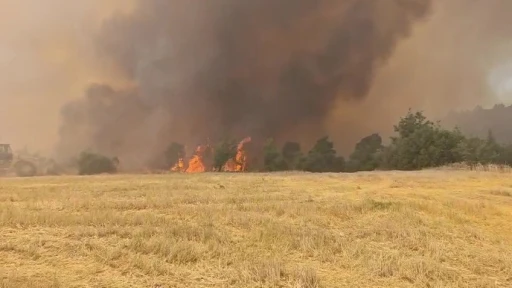 Denizli’de devam eden orman yangınına havadan ve karadan müdahale sürüyor
