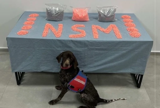 Denizli&rsquo;de jandarma narkotik ekipleri zehir tacirlerine g&ouml;z a&ccedil;tırmıyor
