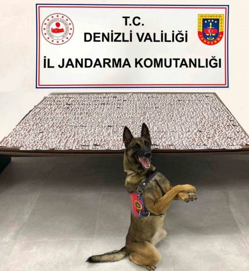 Denizli’de jandarma uyuşturucu tacirlerine geçit vermiyor
