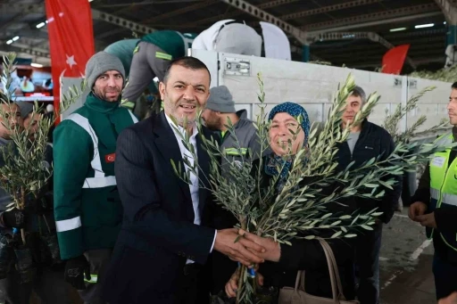 Denizli&rsquo;nin 19 il&ccedil;esinde 84 bin zeytin fidanı &uuml;reticilere dağıtıldı
