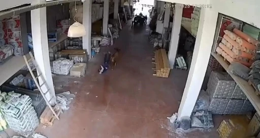 Depoya giren inek çalışanlara saldırdı: Vatandaşlar güçlükle kurtuldu
