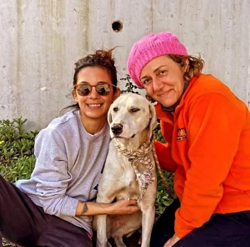 Depremde kurtarılan köpek, Datça’daki yeni hayatına devam ediyor
