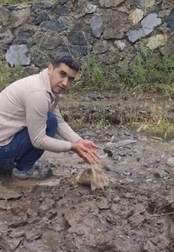Dere yatağında mahsur kalan k&ouml;pek ile toprak altındaki kaplumbağa kurtarıldı
