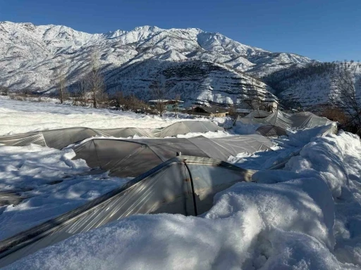 Derecik&rsquo;te kardan dolayı 38 sera zara g&ouml;rd&uuml;

