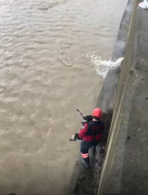 Derede mahsur kalan köpeği itfaiye ekibi kurtardı