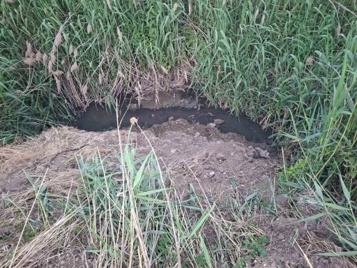 Dereye akan lağım suyu, mahalleliyi nefes alamaz hale getirdi
