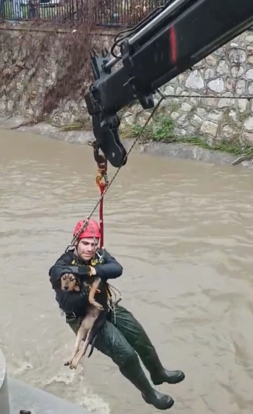 Dereye d&uuml;şen k&ouml;pek itfaiye tarafından kurtarıldı
