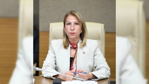 Derici: Muğla&rsquo;nın &Ccedil;evre M&uuml;cadelesi Yok Sayılıyor