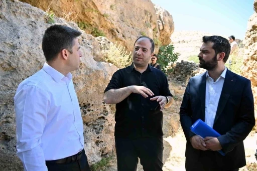Derik Kaymakamı Bayraklı, zeytinliklerde yürütülen sulama çalışmalarını inceledi
