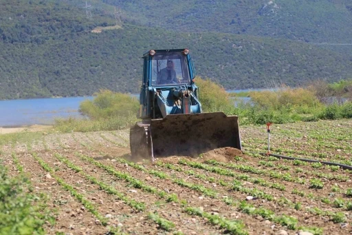 Devlet çiftçiye &quot;ekin&quot; diyor, DSİ ekili alanları düzlüyor
