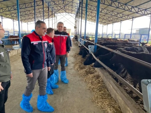 Devlet desteğiyle işini b&uuml;y&uuml;ten işletmeler incelendi
