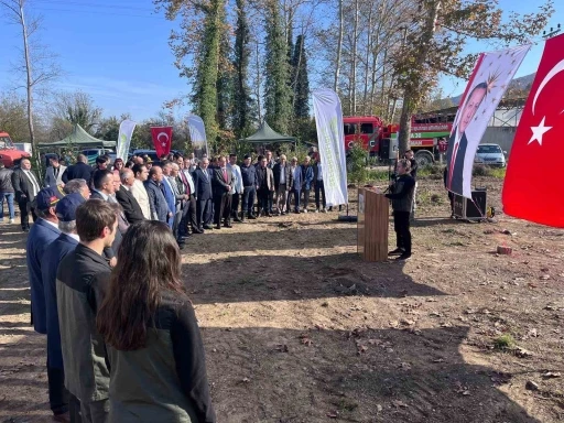 Devrek’te fidan dikim programı
