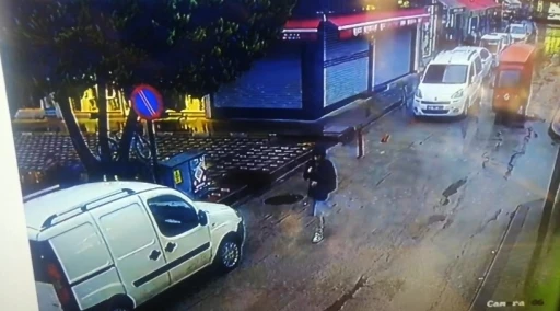 Devrilen çam ağacının altında kalmaktan kıl payı kurtuldular
