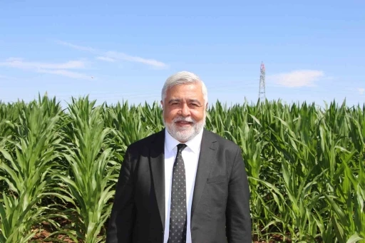 Dicle Elektrik Genel Müdürü Arvas: &quot;Bölgede sorun elektrik değil, sulama&quot;
