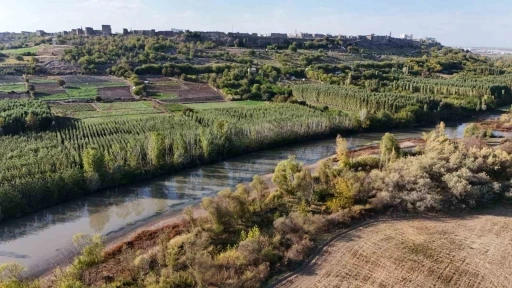 Dicle Nehri’nin 100 kilometrelik kısmı &quot;nehir&quot; statüsünde tanımlanmıyor
