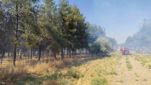 Dicle &Uuml;niversitesi yerleşkesinde &ouml;rt&uuml; yangını
