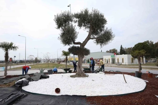 Didim Belediyesi, Didim&rsquo;e &ccedil;ıkan yolları g&uuml;zelleştirdi
