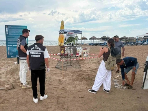 Didim Belediyesi ekiplerinin zamanında m&uuml;dahalesi caretta carettayı kurtardı
