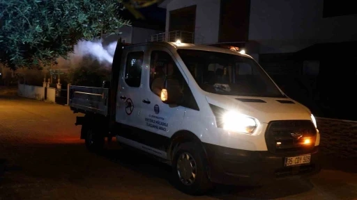 Didim Belediyesi ila&ccedil;lama &ccedil;alışmaları s&uuml;r&uuml;yor
