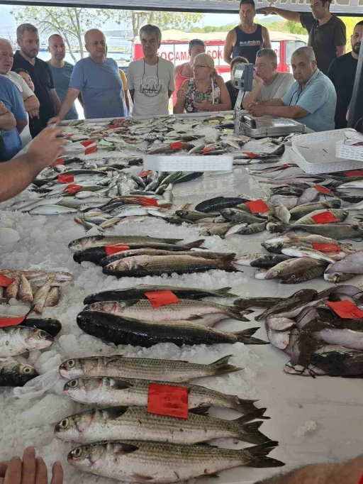 Didim’de ilk balık mezatı gerçekleştirildi
