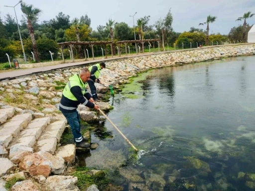 Didim&rsquo;de temizlik ve d&uuml;zenleme &ccedil;alışmaları s&uuml;r&uuml;yor
